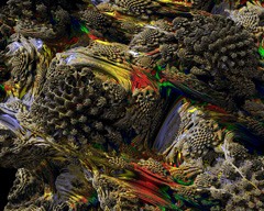 Mandelbulb161